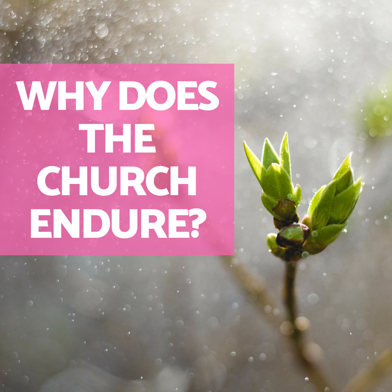 Why Does the Church Endure